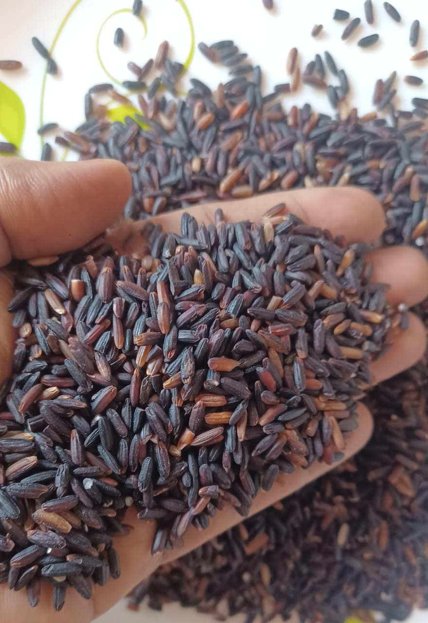 Black Rice - Grains
