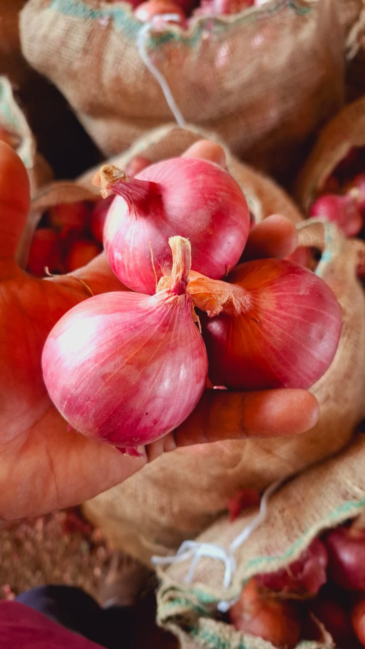 Fresh Onion - Farm Fresh