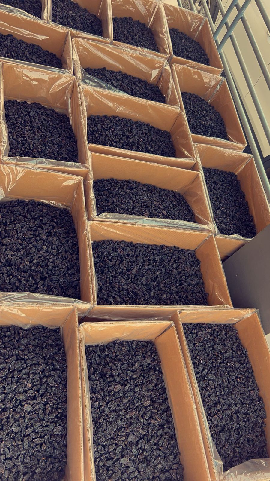 Cashew Kernel - Processing